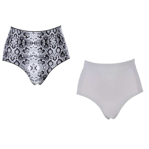 RHONDA SHEAR Other - Rhonda Shear Smoothing Brief 2 Pack MEDIUM
